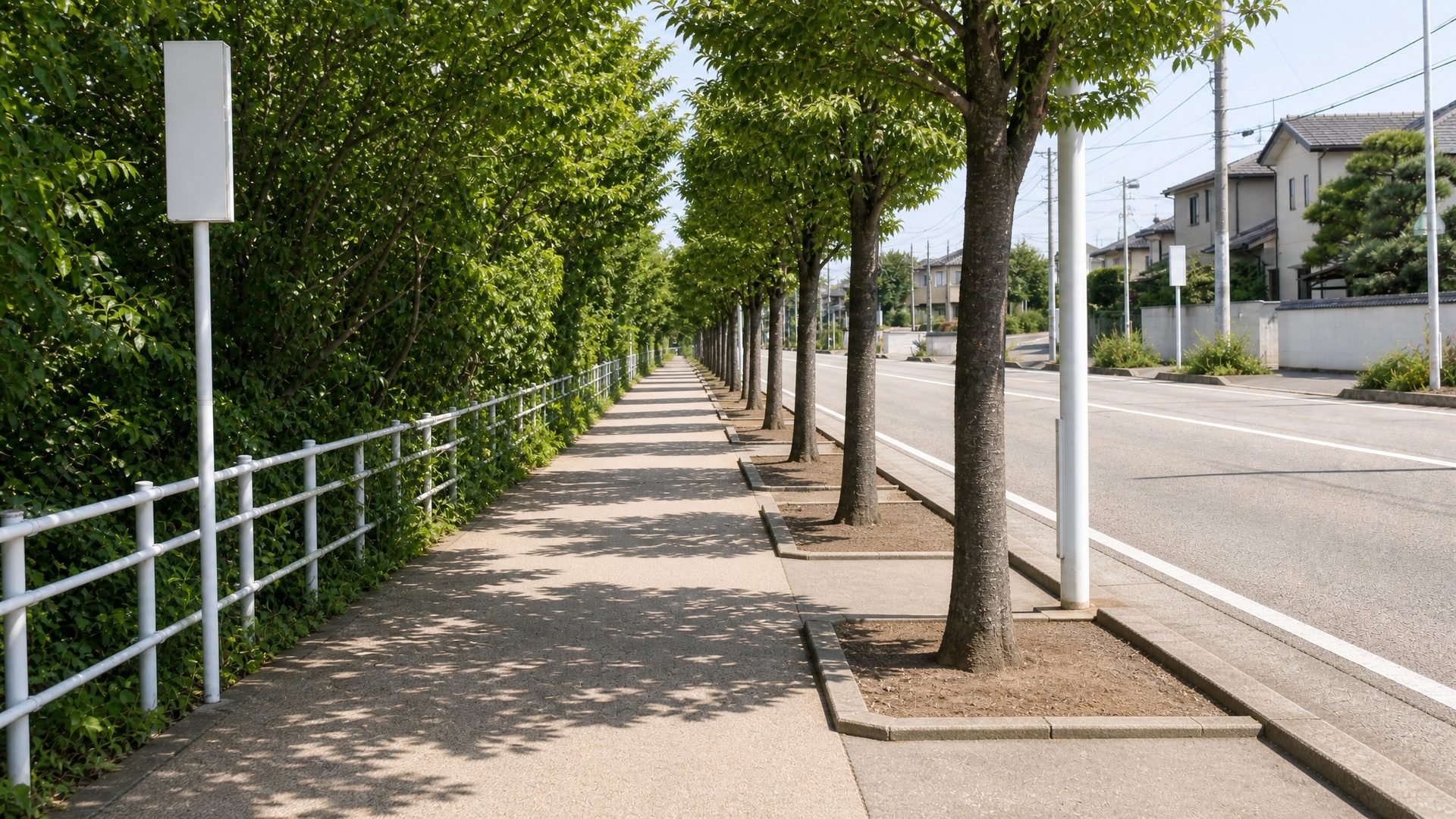 手入れ後の同じ歩道。街路樹が剪定され、根元の除草も済んで見通しが良くなった様子