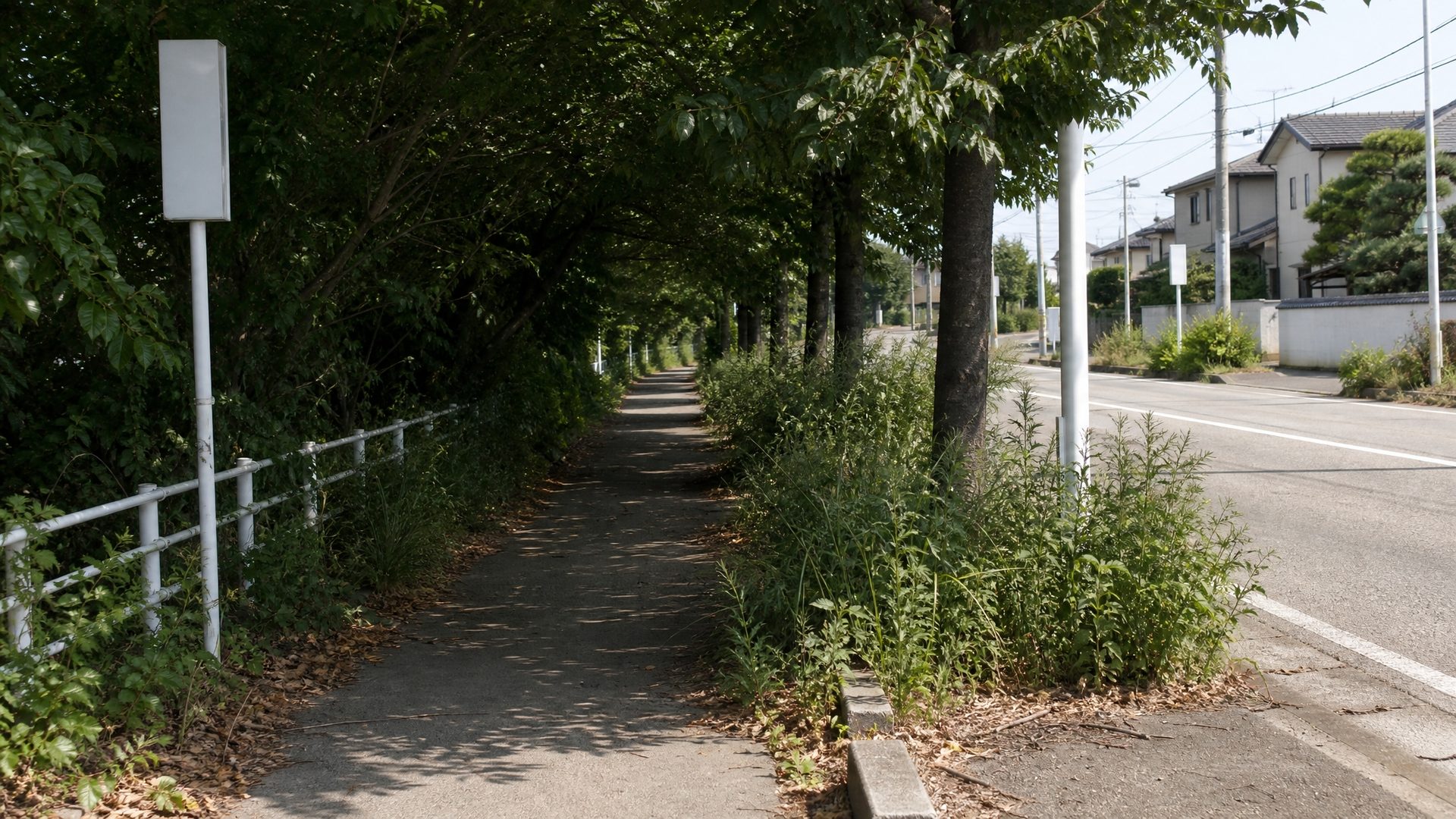 手入れ前の歩道。街路樹の枝が伸びて張り出し、根元に雑草が繁っている様子